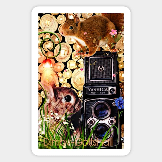 Squirrel and rabbit photographers Sticker by Edgot